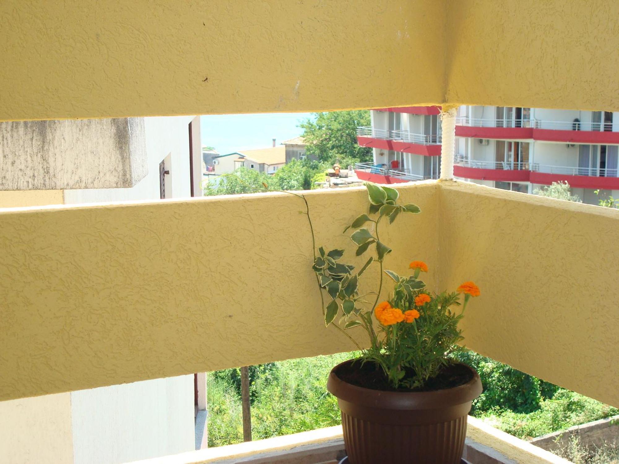 Apartments Cejovic Ulcinj Exterior photo